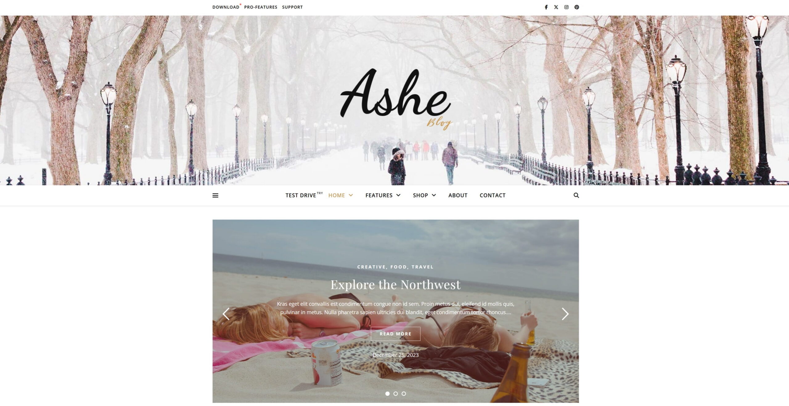 Screenshot of the Ashe WordPress theme