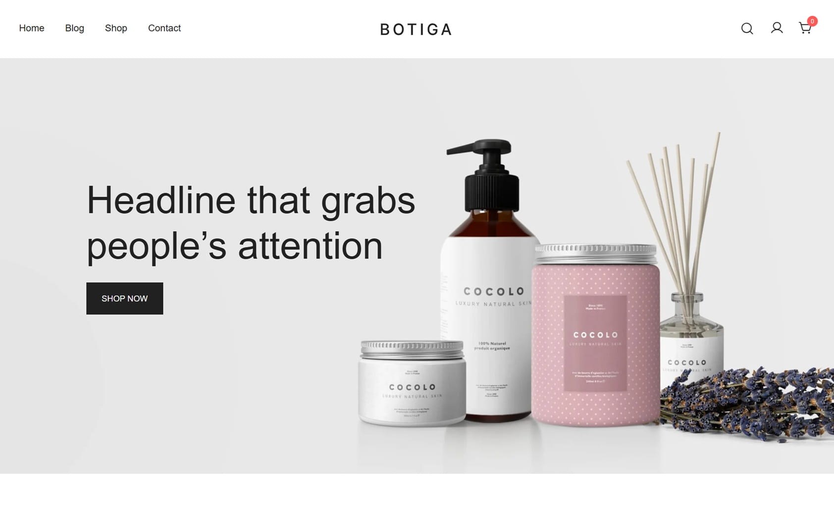 Screenshot of the Botiga WordPress theme