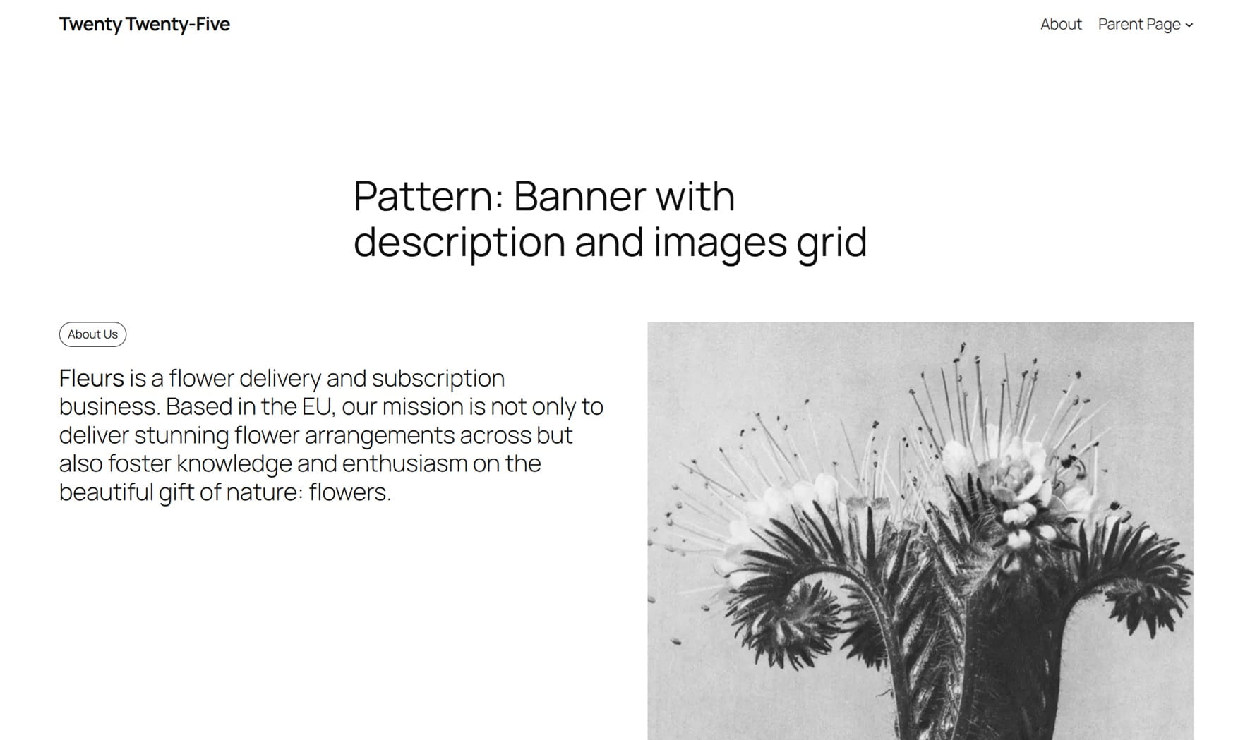 Screenshot of the Twenty Twenty-Five WordPress theme