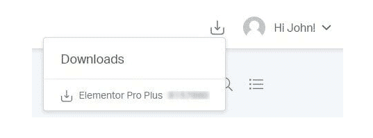 Elementor account view