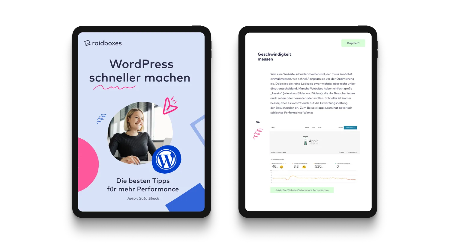 Raidboxes E-Book WordPress schneller machen